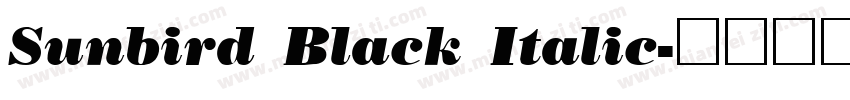 Sunbird Black Italic字体转换